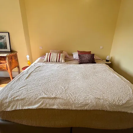 Michelangelo Apartment *